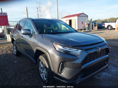 TOYOTA RAV4 2023