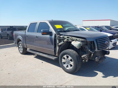 FORD F-150 2010