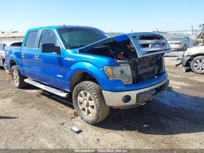 FORD F-150 2013