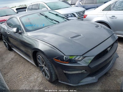 FORD MUSTANG 2019