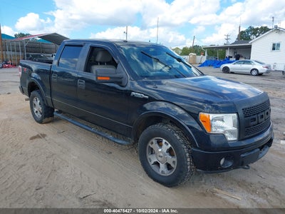 FORD F-150 2009