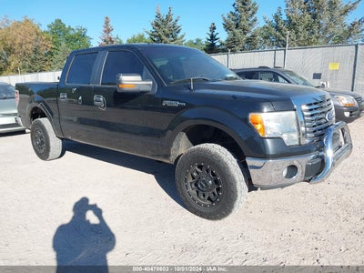 FORD F-150 2010