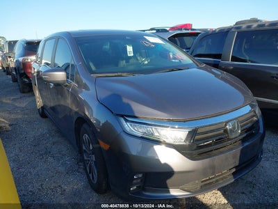 HONDA ODYSSEY 2024