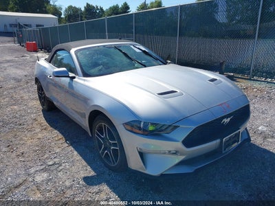 FORD MUSTANG 2019