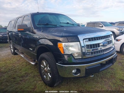 FORD F-150 2013