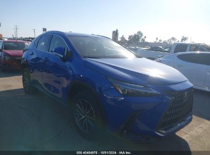 Lexus Nx 2022