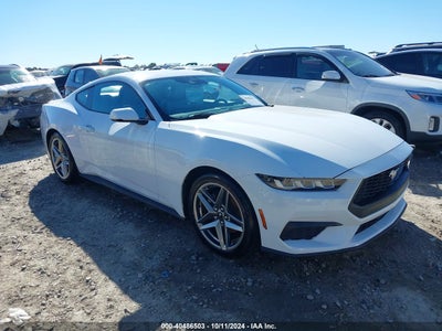 FORD MUSTANG 2024