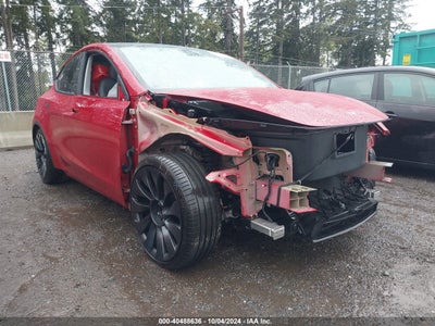 TESLA MODEL Y 2021