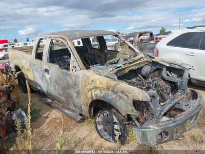 FORD F-150 2009