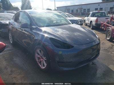 TESLA MODEL Y 2020