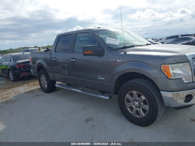 FORD F-150 2013