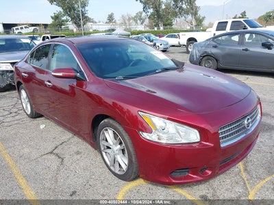 NISSAN MAXIMA 2010