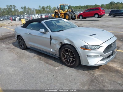 FORD MUSTANG 2019