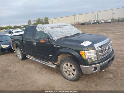 FORD F-150 2013