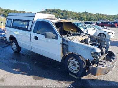 FORD F-150 2010