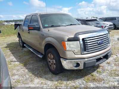 FORD F-150 2011