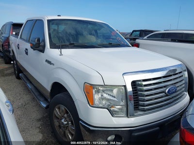 FORD F-150 2011