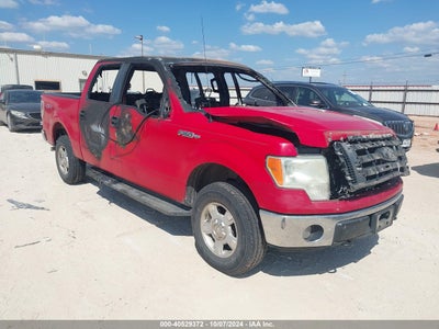 FORD F-150 2010