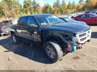 RAM DAKOTA 2011