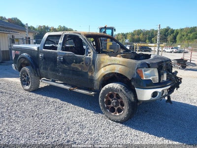 FORD F-150 2010