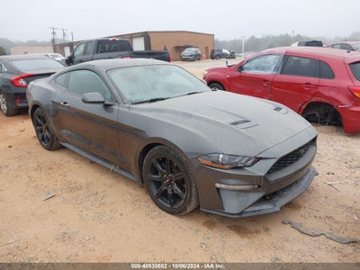FORD MUSTANG 2019
