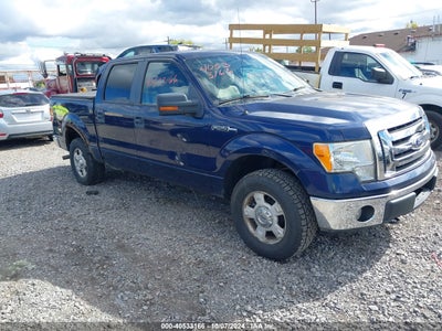 FORD F-150 2010