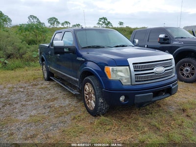 FORD F-150 2009