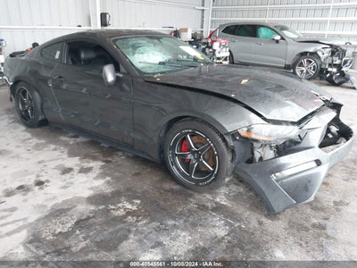 FORD MUSTANG 2019