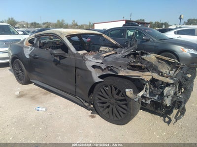 FORD MUSTANG 2019