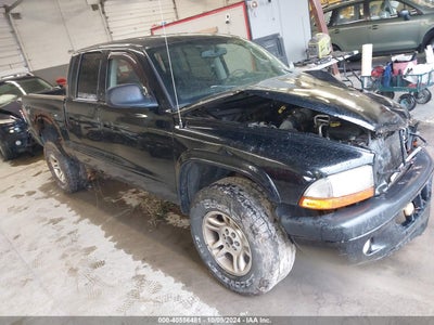 DODGE DAKOTA 2004