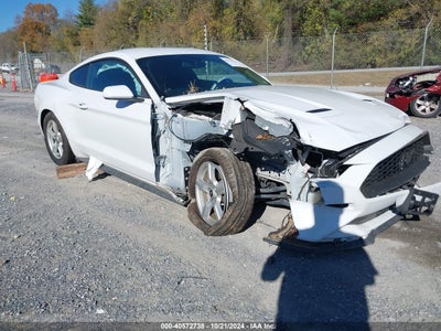 FORD MUSTANG 2019