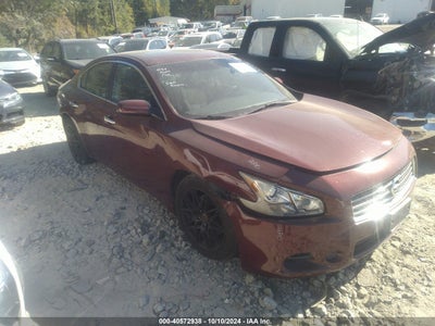 NISSAN MAXIMA 2010