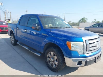 FORD F-150 2009