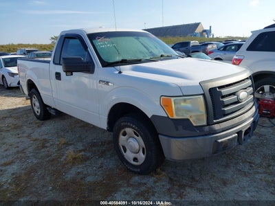 FORD F-150 2009