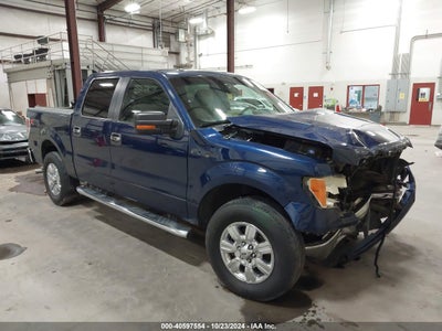 FORD F-150 2010