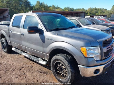 FORD F-150 2010