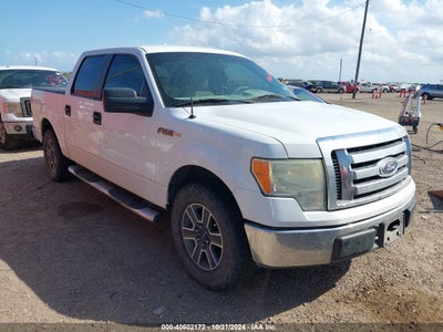 FORD F-150 2009