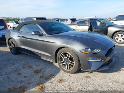 FORD MUSTANG 2019