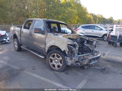 FORD F-150 2014