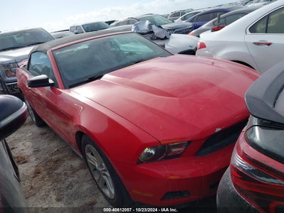 FORD MUSTANG 2010