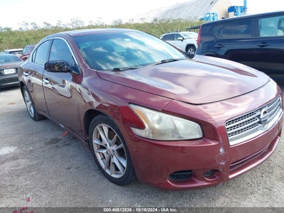 NISSAN MAXIMA 2011