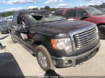 FORD F-150 2012