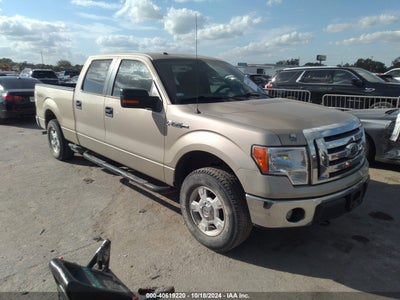 FORD F-150 2010