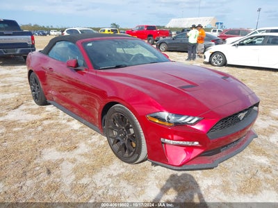 FORD MUSTANG 2019