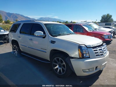 CADILLAC ESCALADE 2007