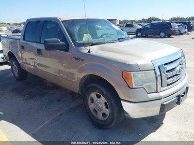 FORD F-150 2010