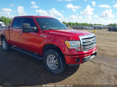 FORD F-150 2009