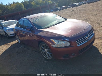 NISSAN MAXIMA 2010
