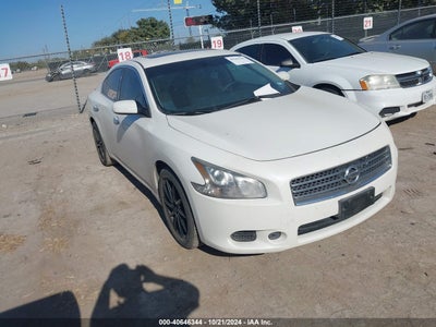 NISSAN MAXIMA 2010