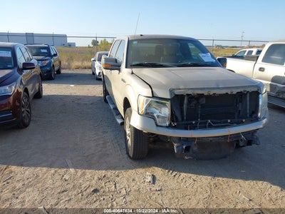 FORD F-150 2010